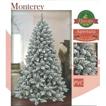 Albero Monterey cm.210